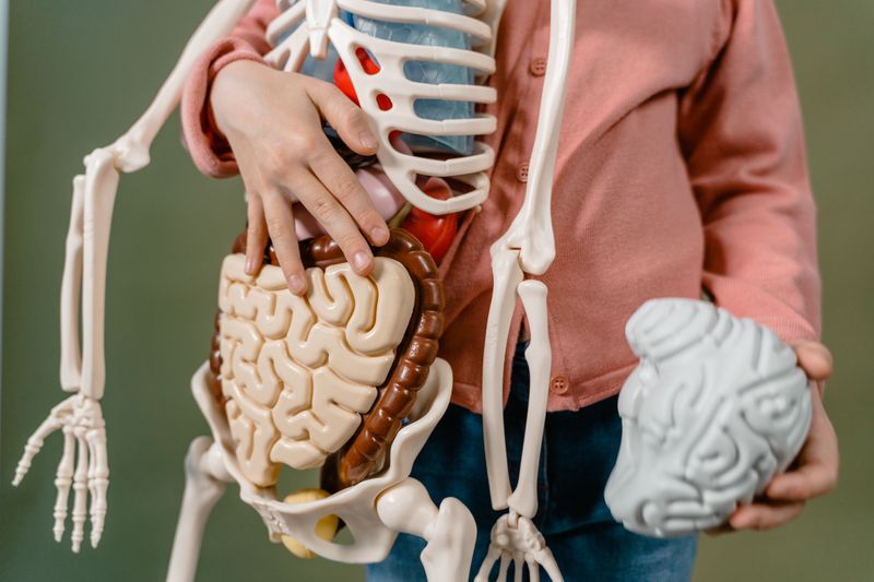 Different toxins target different parts of the body