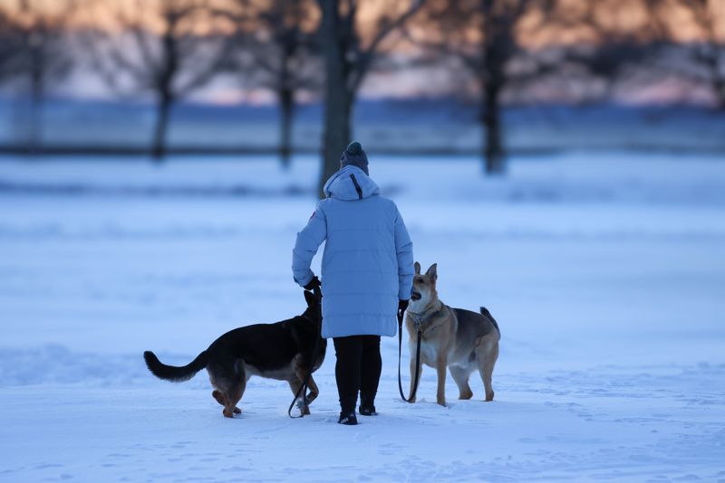 Kansas has confirmed cases involving pets