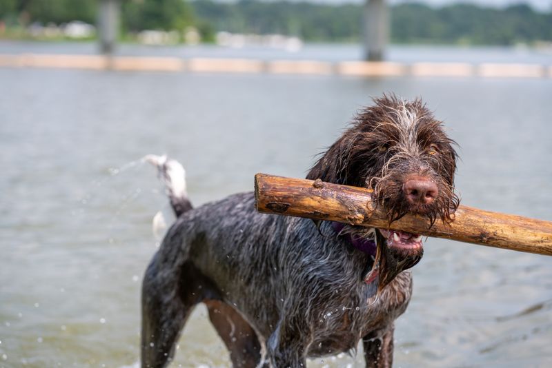 Rinse Off After Every Swim
