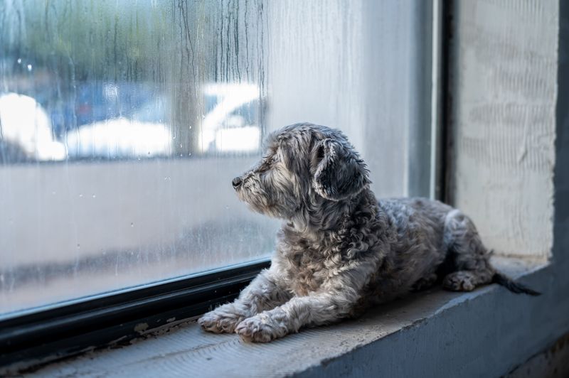 Not Preparing for Storms and Severe Weather