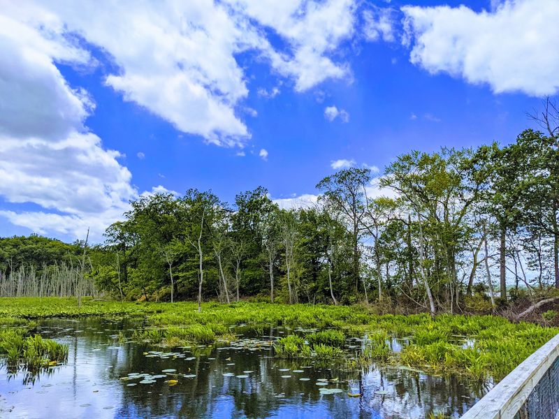 Mason Neck State Park