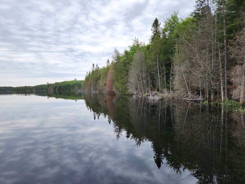 Craig Lake State Park: Rustic Enough to Feel Remote