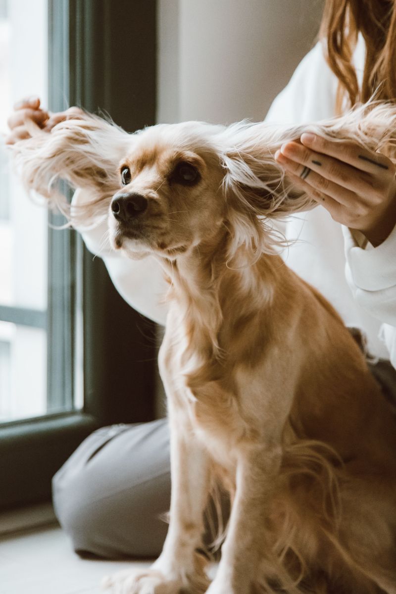 Ears Hide More Than You Would Guess