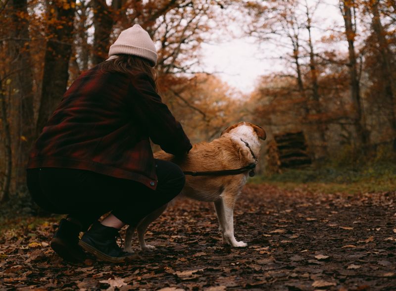 Do a tick check after every forest walk
