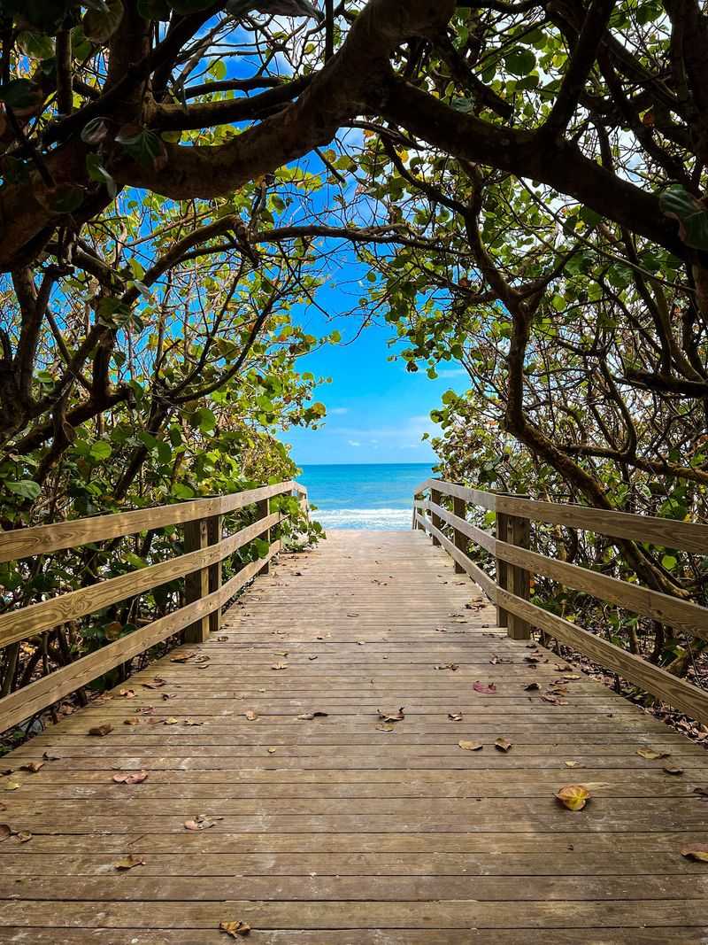 Canova Beach Park, Indian Harbour Beach