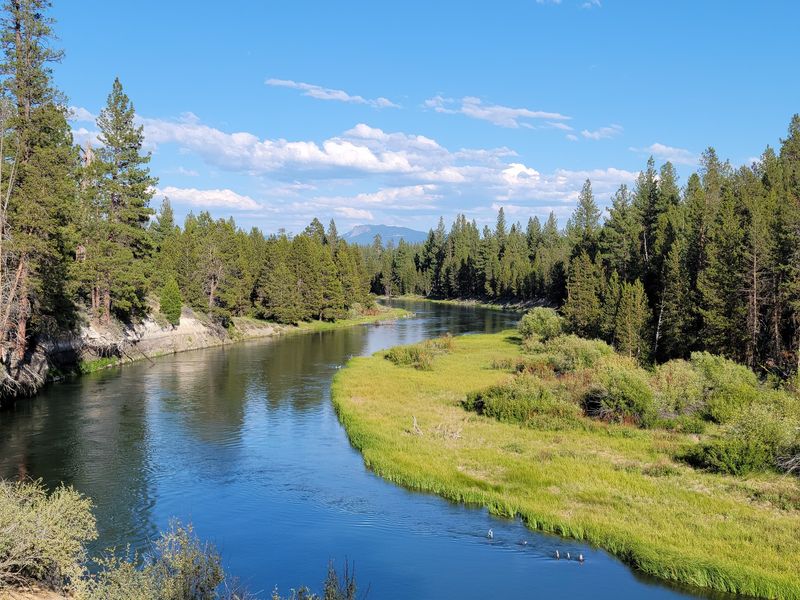 Walk the Deschutes Loop at LaPine State Park