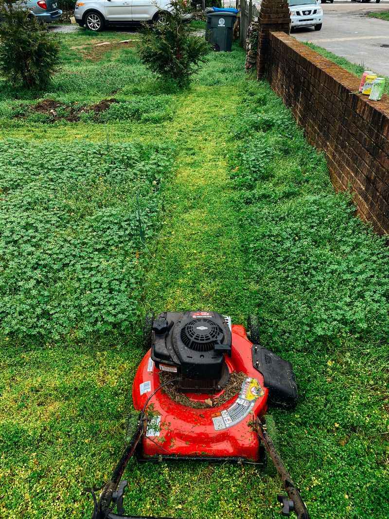 A Mowed Verge Is Not Automatically A Safe One