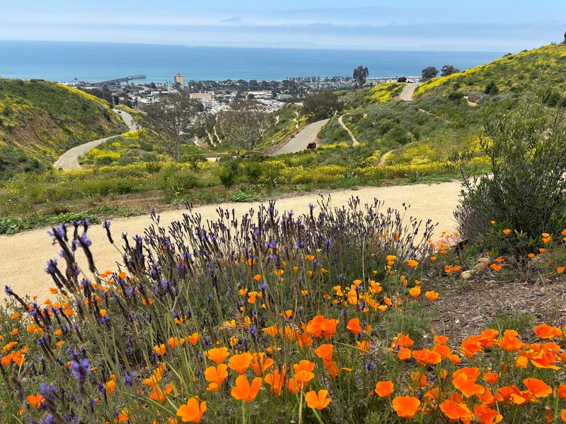 Ventura Botanical Gardens - Ventura