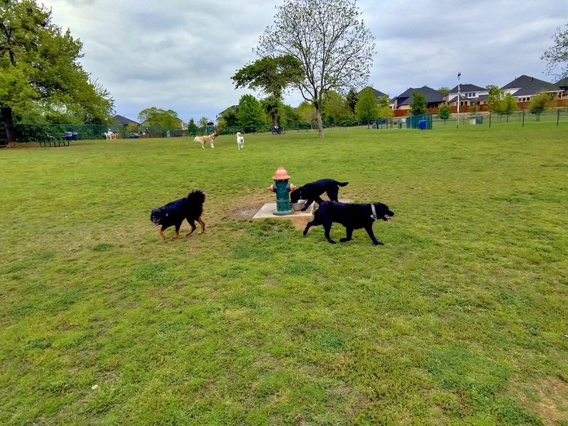 Denton: College Town Energy, Dog Park Approved
