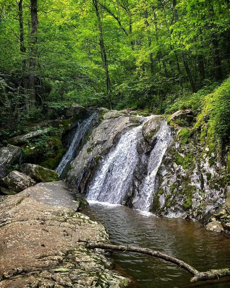 Jones Run Falls Trail