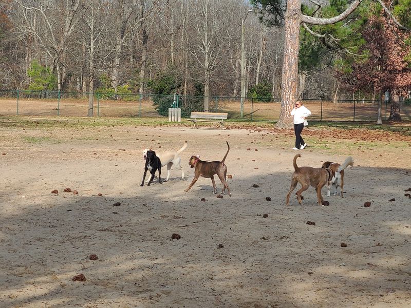 Off-Leash Dog Area, Greenville