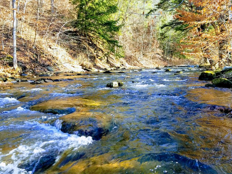 Camp and Hike Through Allegany State Park