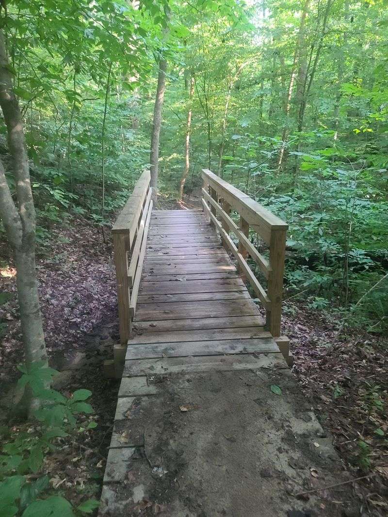 Cross High Bridge on foot with your dog