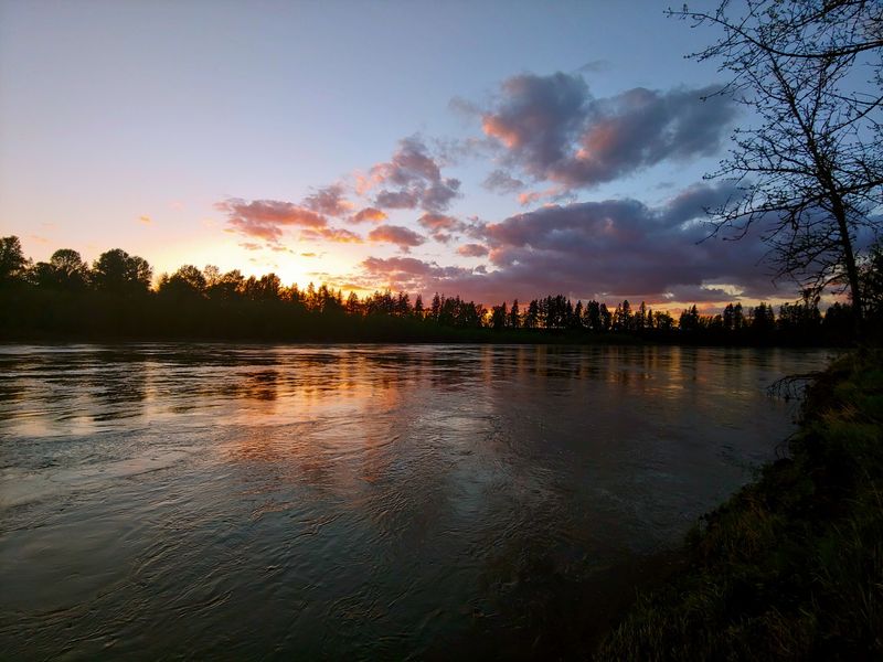 Roam Willamette Mission State Park