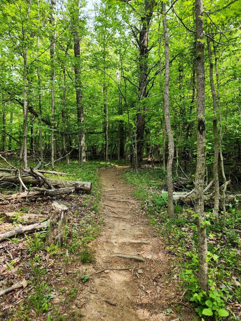 Finish With Short Loops at Warriors' Path State Park