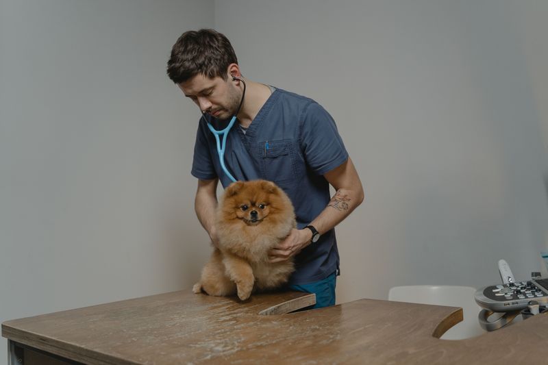 Suspected Bite? Head Straight To The Clinic