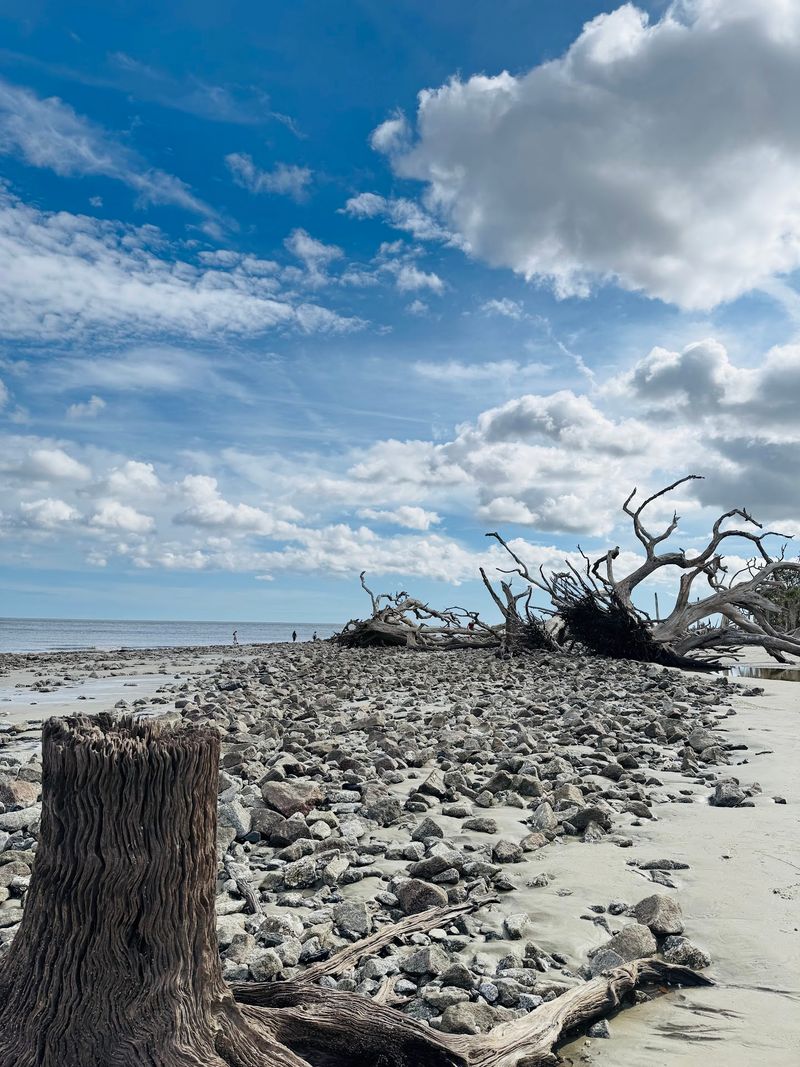 Jekyll Island Beach