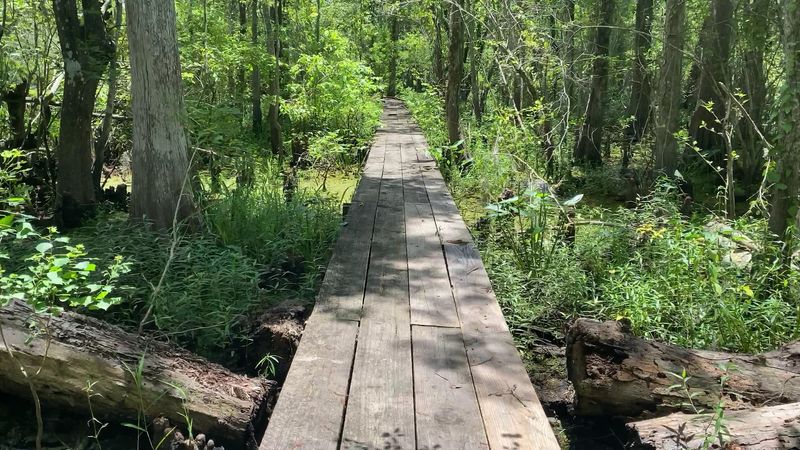 Wander The Trails At Lake Fausse Pointe State Park