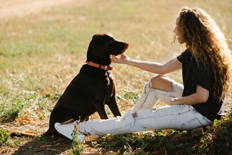 Inspect Around Your Dog's Collar