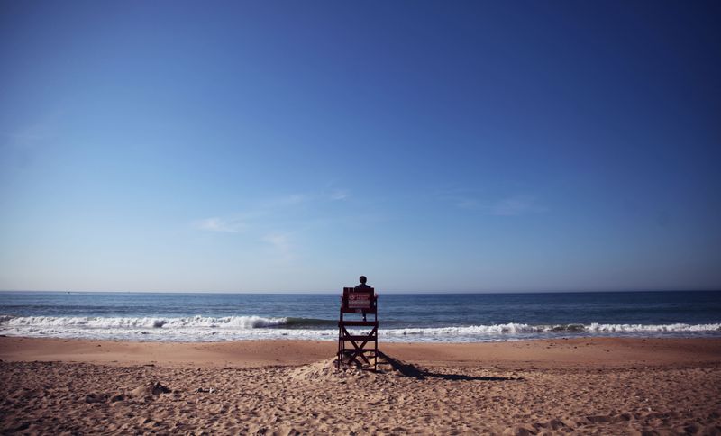 The Beach Season and Dog Restriction Dates Are Not Exactly the Same