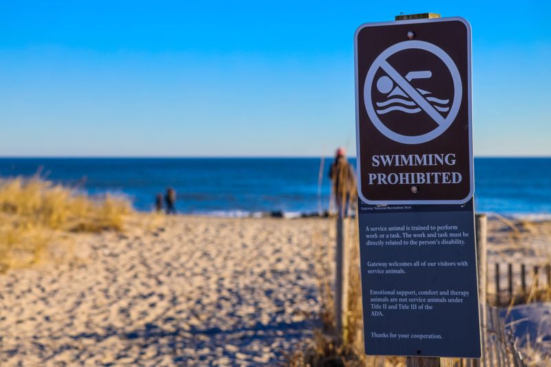 Dogs Are Not Allowed on State Park Swimming Beaches