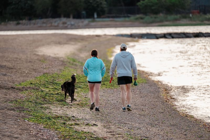 Walk The Shoreline Before Your Dog Does