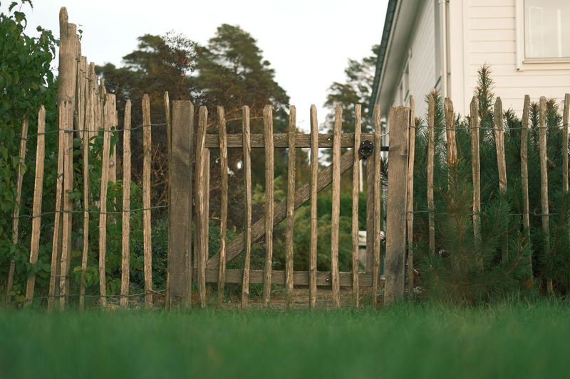 Acres Alone Will Not Keep a Dog Home