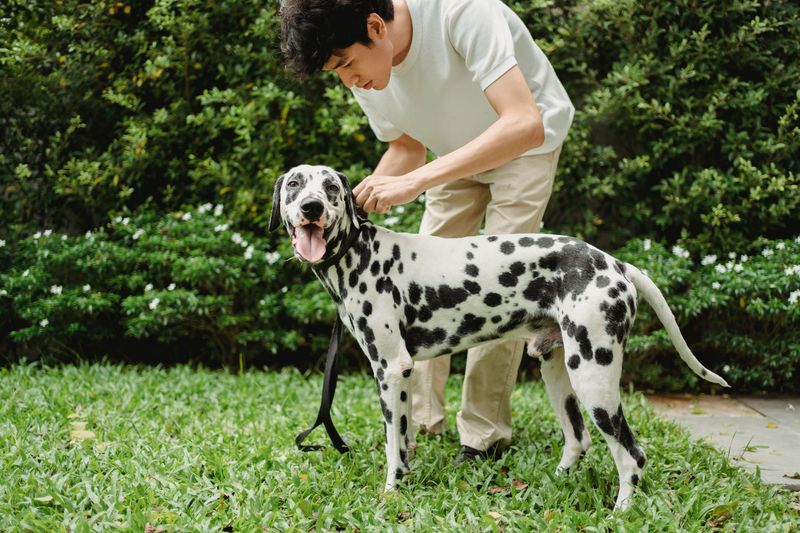 The Five-Minute Post-Walk Check That Solves Most Of This