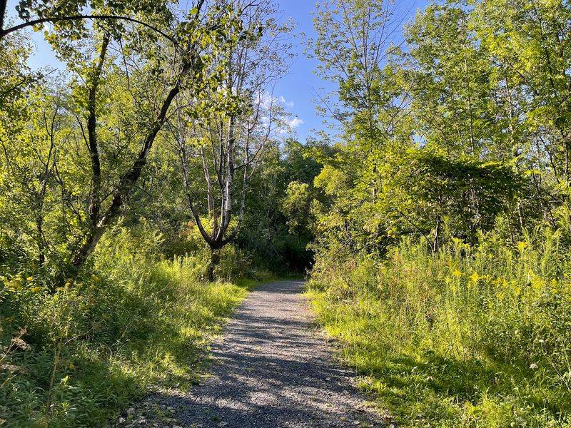 Adams Gives Active Dogs Plenty to Explore