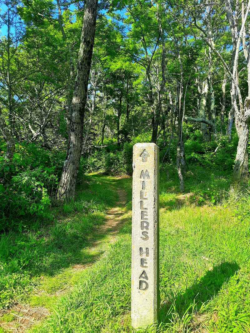 Millers Head Trail