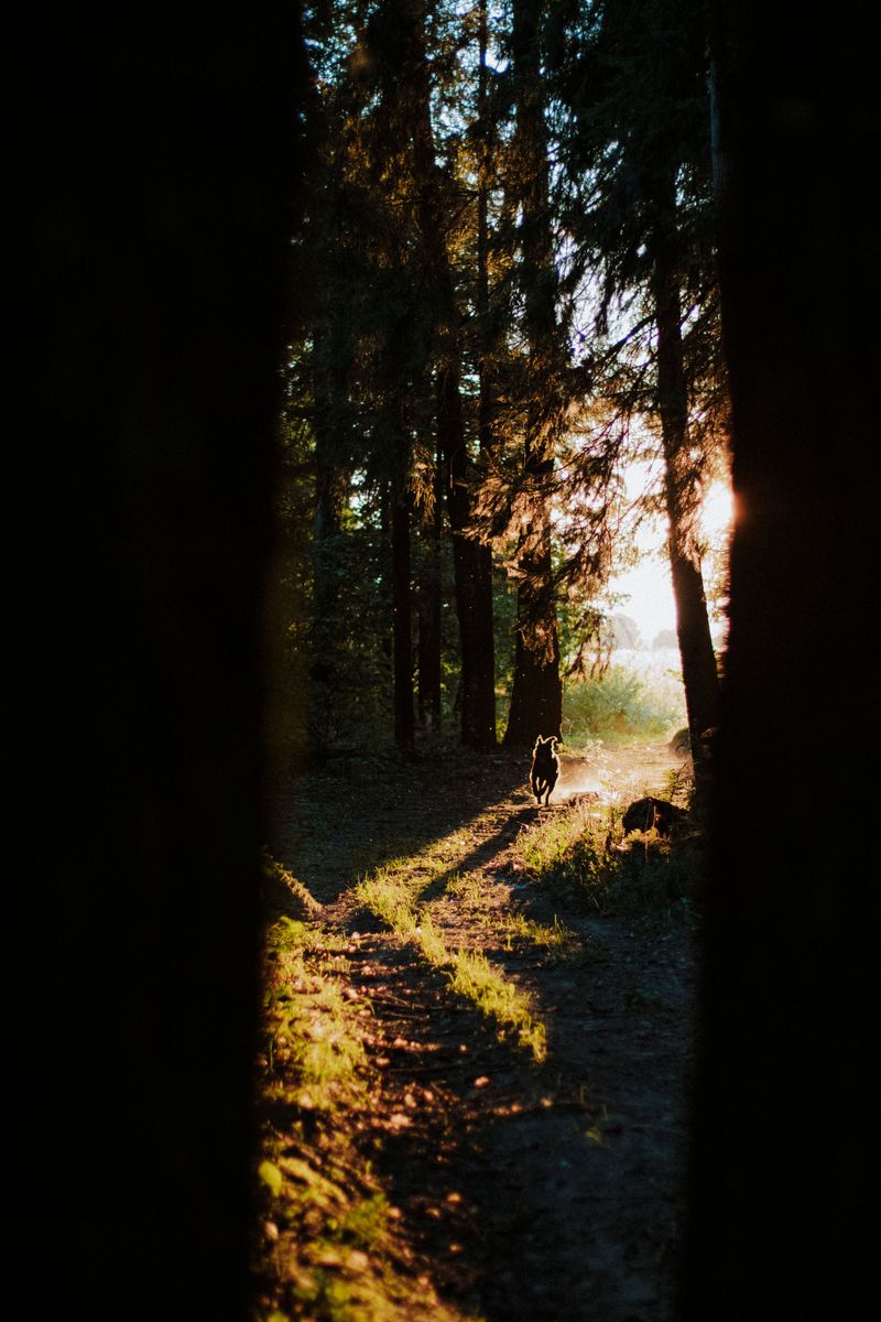 Give Wildlife A Clear Escape Route