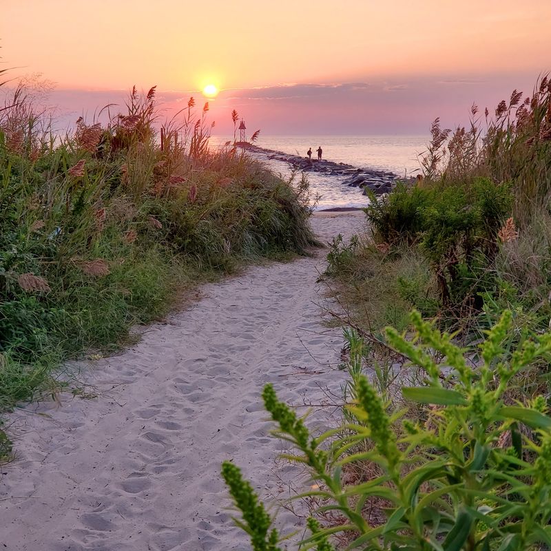 Higbee Beach Wildlife Management Area