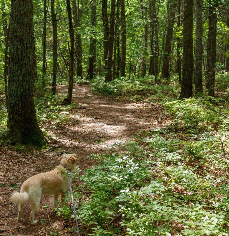 Trails, Parks, and Federal Lands Have Their Own Rules Too