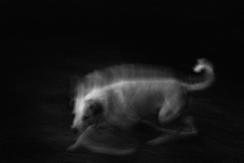 Nighttime Roaming Is Off the Table