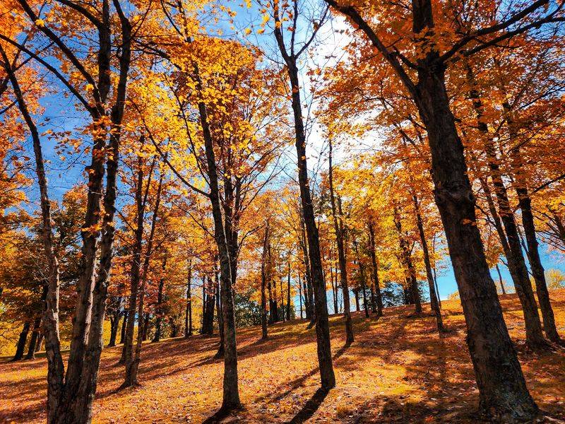 Grafton to Pere Marquette State Park