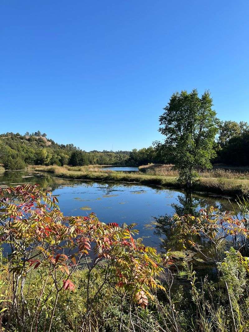 Keller Park State Recreation Area, Long Pine