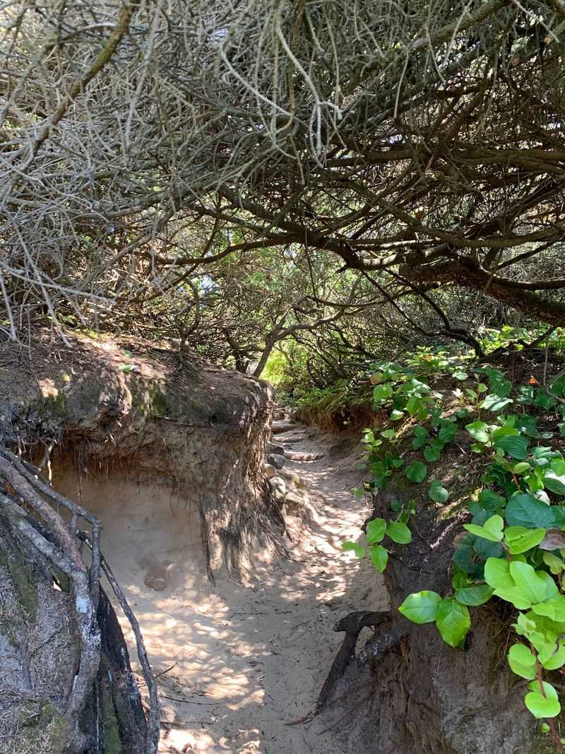 Hobbit Beach, Florence