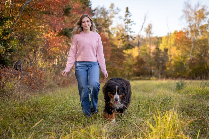 Cool-Weather Bernese Mountain Dog