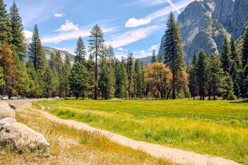 Creeks, Forests, and Meadows May Be Closed