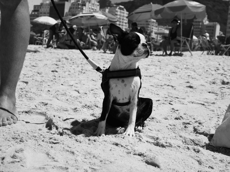 Crowded Beaches Require Extra Awareness