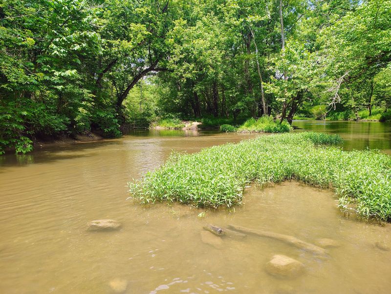 Pleasant Valley Area at Battelle Darby Creek Metro Park, Galloway