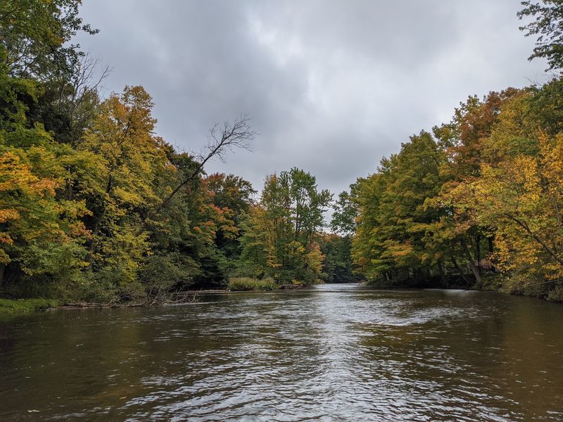 Huron-Manistee National Forests