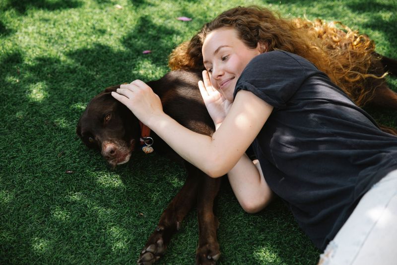 Keep Your Dog Calm