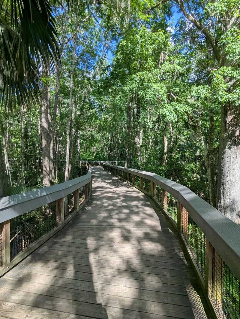 Hike the paths at Silver Springs State Park