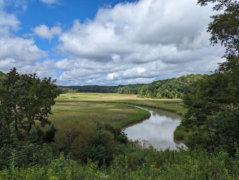 Hike above marshes at York River State Park