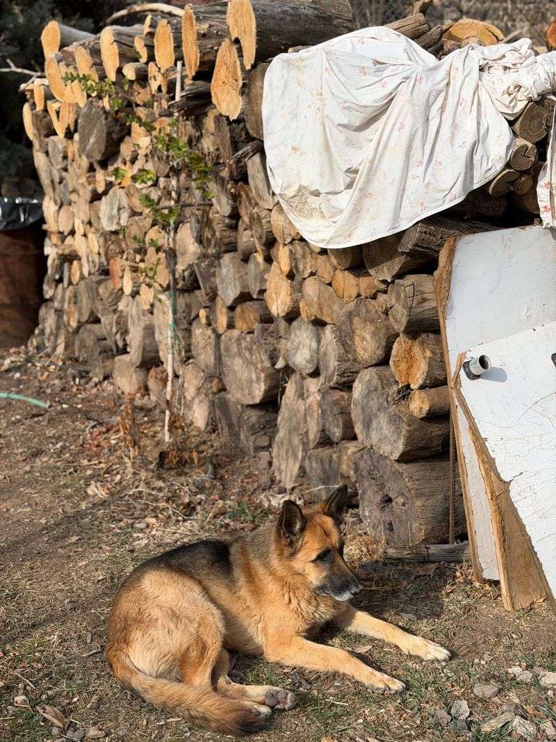 Your Yard Can Be Part of the Problem