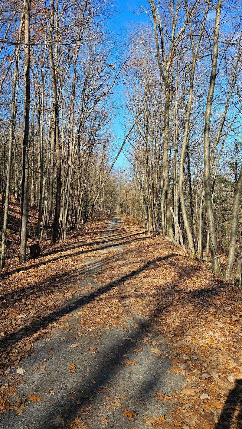 Black Diamond Trail