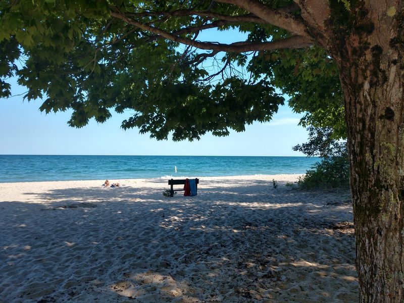 Harrisville State Park for a Designated Dog Area