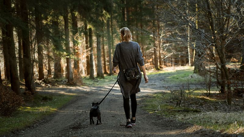 Stay Calm During a Bear Sighting