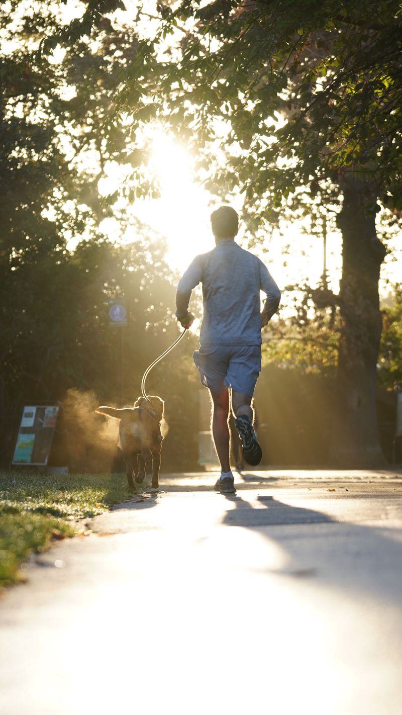 Move Walks to the Cool Edges of the Day